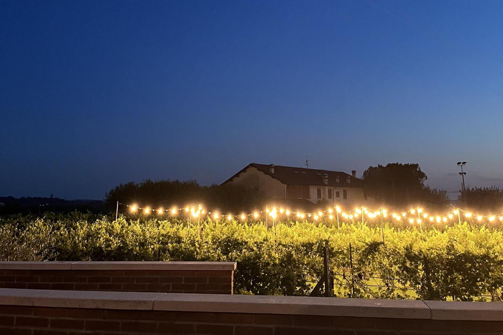 Almavite Wine Resort With Pool Ντεζεντσάνο ντελ Γκάρντα Εξωτερικό φωτογραφία